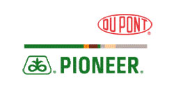 Agroservizi-Pioneer--SEMENTI-Dupon